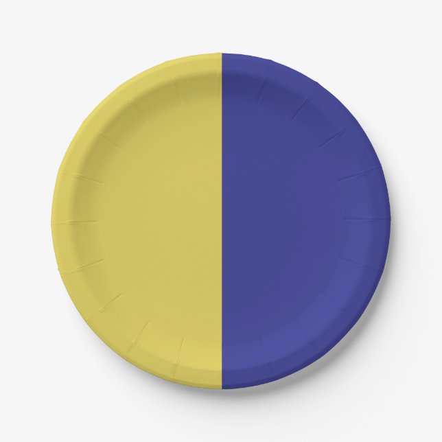 Blue And Yellow Paper Plate (Front)