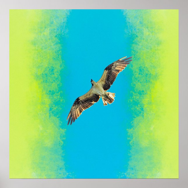 Blue and yellow poster (Front)