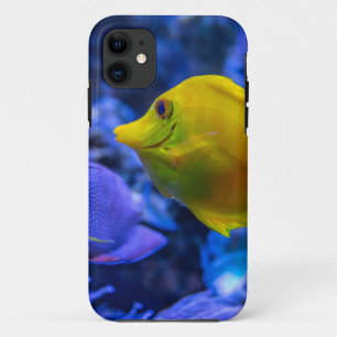 Blue And Yellow Two Beautiful Fishes iPhone 11 Case