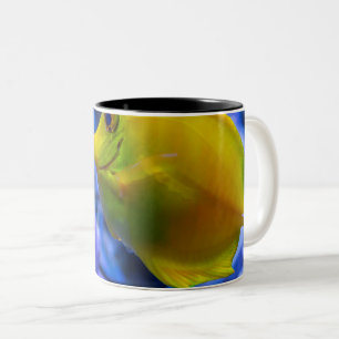 Blue And Yellow Two Beautiful Fishes Two-Tone Coffee Mug