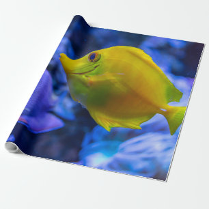 Blue And Yellow Two Beautiful Fishes Wrapping Paper