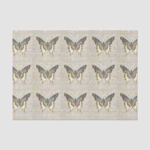 Blue and Yellow Vintage Style Butterfly Tissue Paper