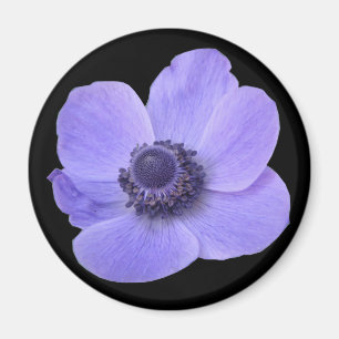 Blue Anemone Flower Magnet