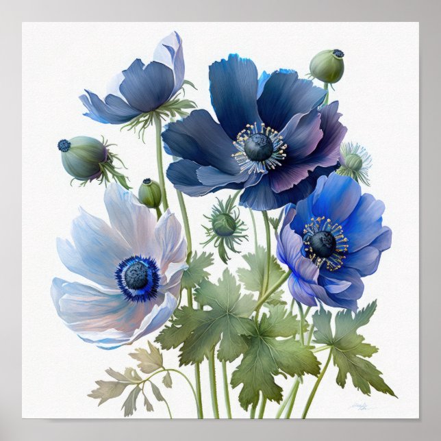 Blue Anemone Flowers Art Print Poster (Front)