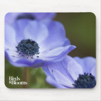 Blue Anemone