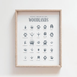 Blue Animal Tracks Woodland Nursery Decor