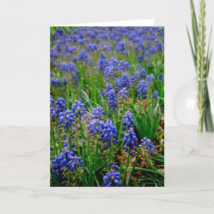 Blue Armenian Hyacinth Notecard