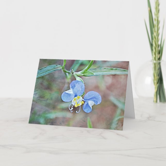 Blue Asiatic Dayflower Wild Flower Macro Note Card (Front)