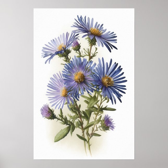 Blue Aster Flower Art Print Poster (Front)