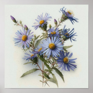 Blue Aster Flower Art Print Poster
