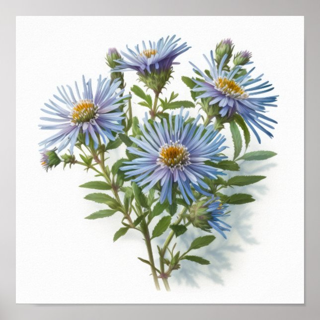 Blue Aster Flower Art Print Poster (Front)