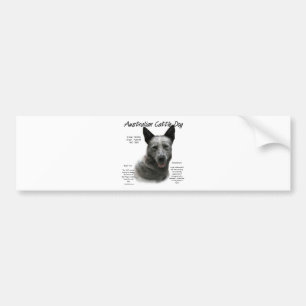 Blue Australian Cattle Dog History; Blue ACD Bumper Sticker