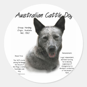 Blue Australian Cattle Dog History; Blue ACD Classic Round Sticker