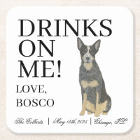 Blue Australian Cattledog Heeler Dog Wedding