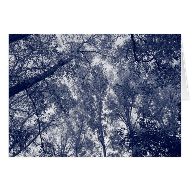 Blue Autumn (Front Horizontal)