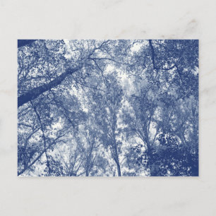 Blue Autumn - Cyanotype Effect Postcard