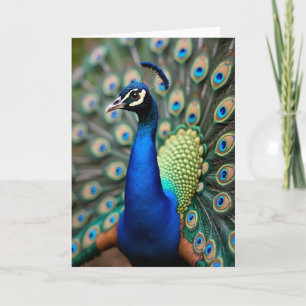 Blue Avian Mothers Day Card