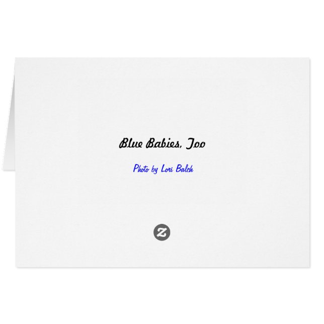 Blue Babies, Too (Back Horizontal)