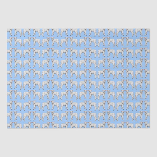 Blue Baby Lamb Tissue Paper (Front)