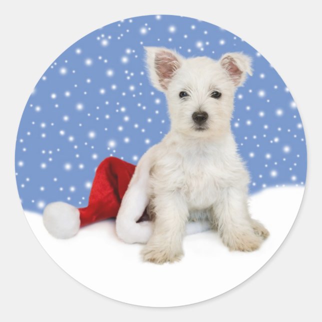 Blue Background Let It Snow Stickers (Front)