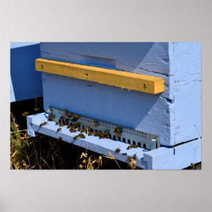 Blue beehive poster