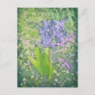 Blue Bell Flower, Spring Nature / Britain Postcard