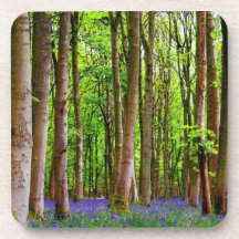 Blue Bells in the Spring