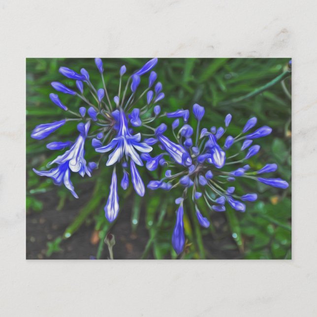 Blue bells postcard (Front)