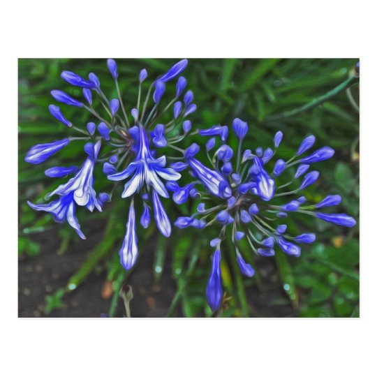 Blue bells postcard