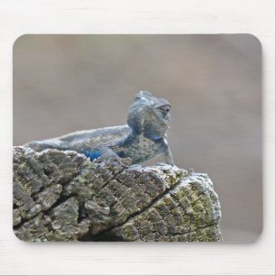 Blue Belly Alligator Lizard Mouse Mat