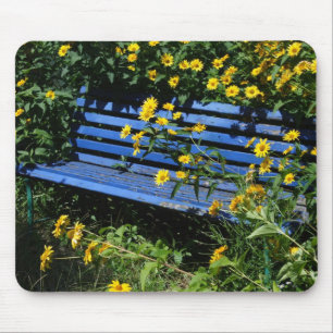 blue bench mouse mat