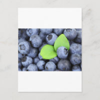 Blue Berries Fruit Peace Love Destiny Party Art