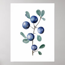 Blue Berries Fruit Watercolor Artwork