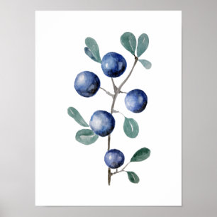Blue Berries Fruit Watercolor Artwork Poster