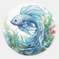 Blue Beta Fish Green Seaweed