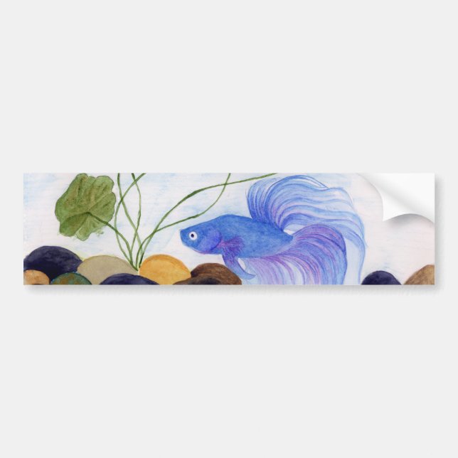 Blue Betta Fish Bumper Sticker (Front)