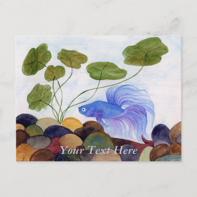 Blue Betta Fish Postcard (Front)