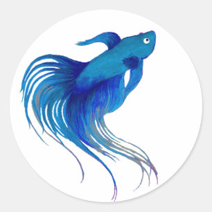 Blue Betta Fish Watercolor Classic Round Sticker