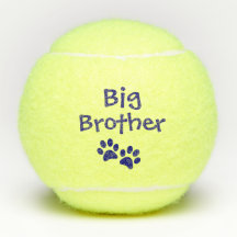 Blue Big Brother Pet Dog Cat Toy