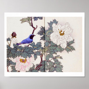 Blue Bird and Peony, Imao Keinen Poster