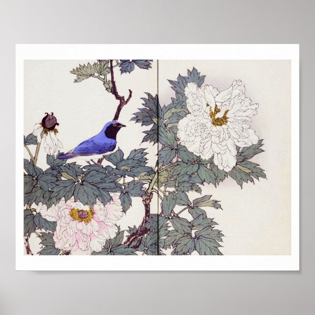Blue Bird and Peony, Imao Keinen Poster (Front)