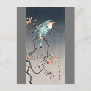 Blue Bird at Night, Watanabe Seitei Postcard