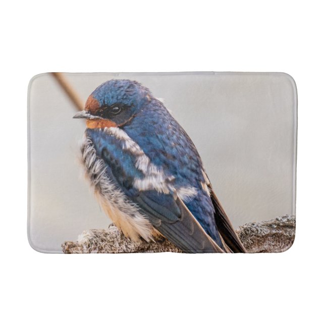 Blue Bird, Barn Swallow, Canadian Photography Bath Mat (Front)