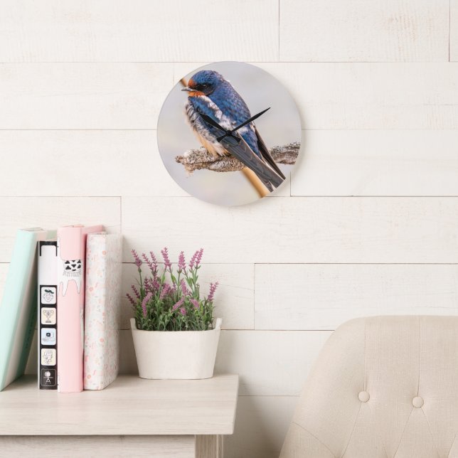 Blue Bird, Barn Swallow, Canadian Photography Large Clock (Reading Room)