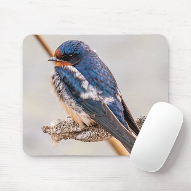 Blue Bird, Barn Swallow, Canadian Photography Mouse Mat (With Mouse)