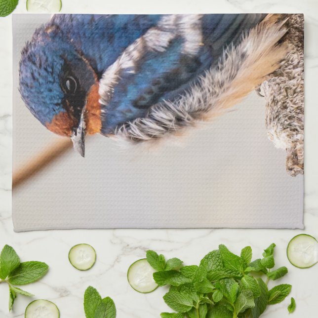 Blue Bird, Barn Swallow, Canadian Photography Tea Towel (Folded)