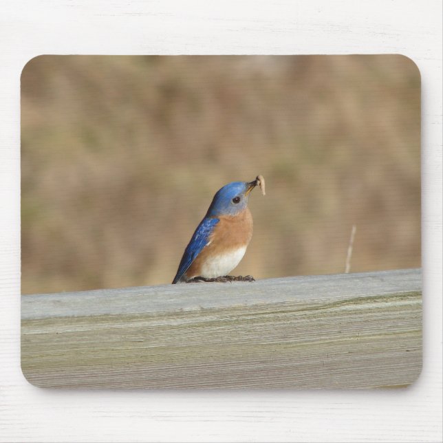 Blue Bird Breakfast Mouse Mat (Front)