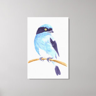 Blue bird canvas print