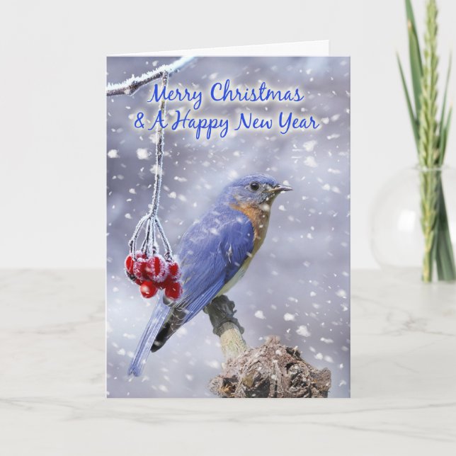 blue bird christmas greeting card - snow scenery w (Front)