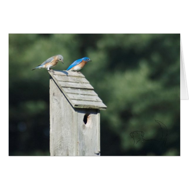 Blue Bird House, Card (Front Horizontal)